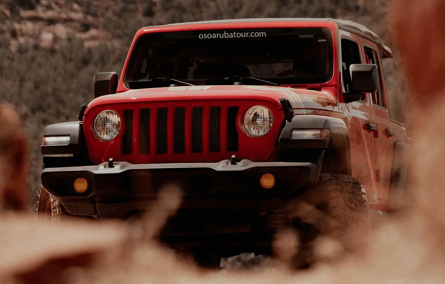 OSO ARUBA JEEP TOURS